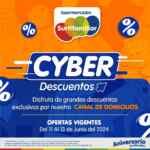 Cyber Descuentos Surtifamiliar