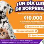 Concurso Cañaveral: Gana Anchetas, desparacitación y Spa Canino