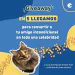 Gana un cambio de estilo para tu mascota en el concurso de Puppis