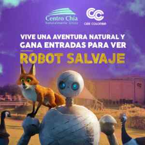 Imagen de la promo